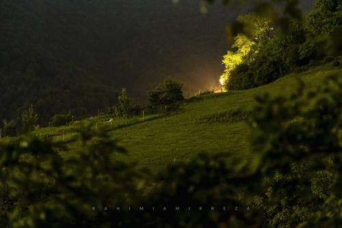 DSC_3176-r